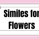 Similes for Flowers